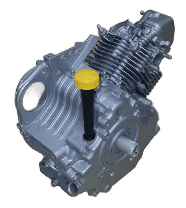 Kawasaki FE290 Engine